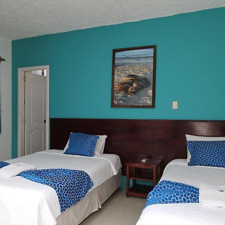 Hotel La Gran Tortuga - ᯤ Starlink Puerto Villamil Bagian luar foto
