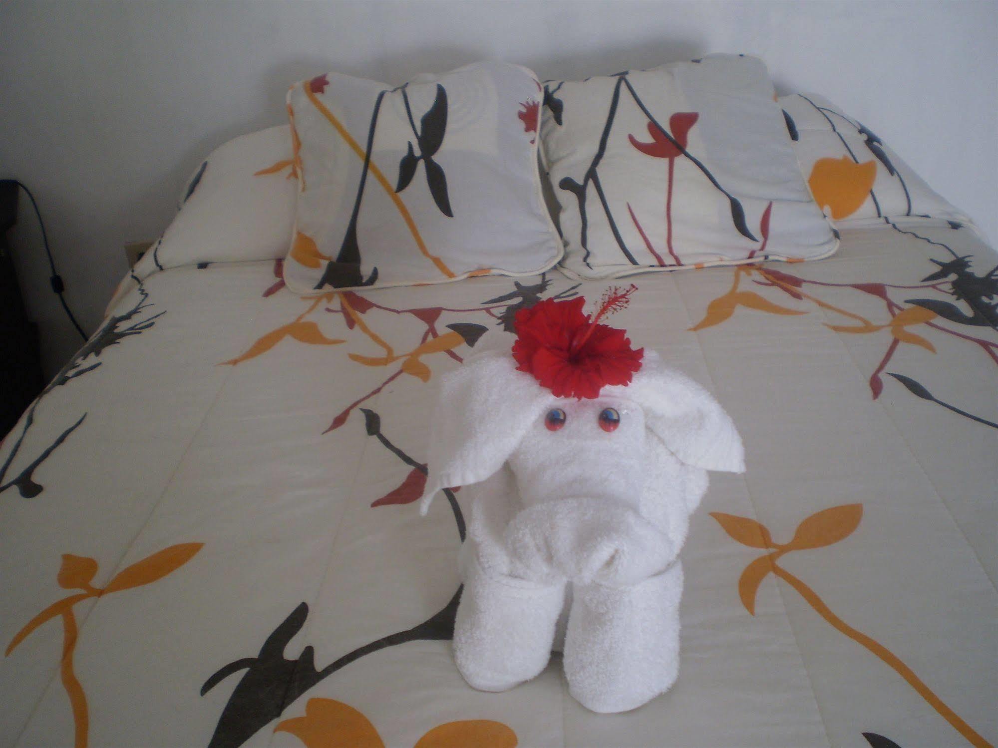 Hotel La Gran Tortuga - ᯤ Starlink Puerto Villamil Bagian luar foto