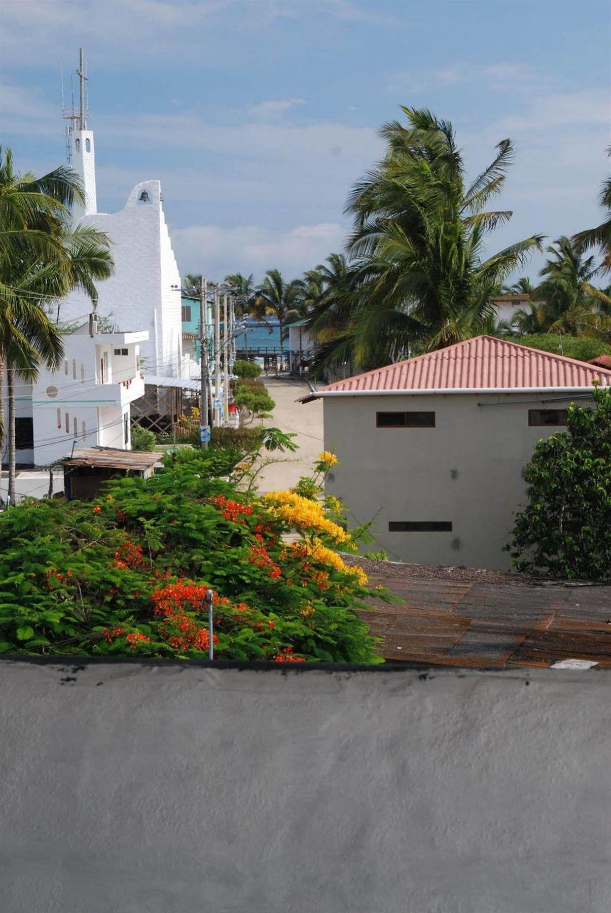 Hotel La Gran Tortuga - ᯤ Starlink Puerto Villamil Bagian luar foto